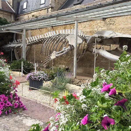 Σπίτι διακοπών Chez Fabienne, Maison Avec Petite Terrasse Privee